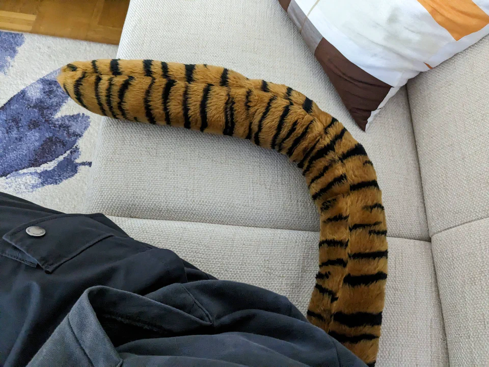 Photo of the tiger tail curled around me while I'm wearing it and sitting on a white couch