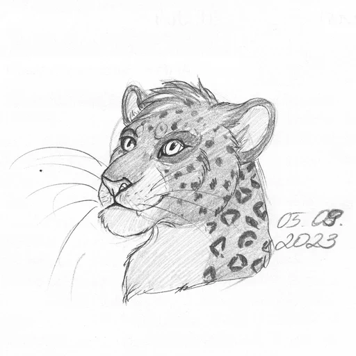 Pencil bust sketch of my jaguar fursona