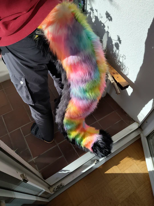 Photo of me wearing my fursuit tail: it has long shaggy rainbow-colored fur running along the upper half of the tail, and black fur on the bottom and on the tip.
