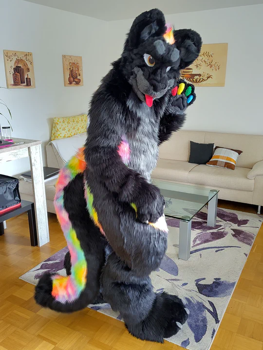 Photo of me wearing my digitigrade fursuit, front view: Black fur with a gray chest and rainbow stripes going down along the sides and over the thighs. The head has amber eyes, a gray muzzle with soft teeth and a long red tongue, and a rainbow mane.

