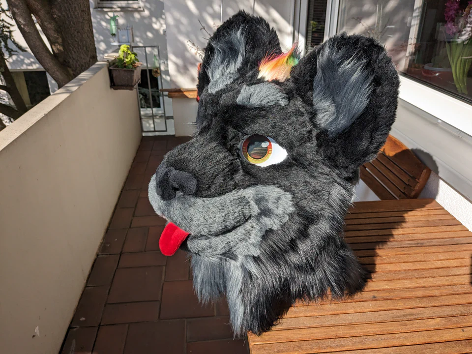 Photo of my black jaguar fursuit head mounted on a wooden table. It has black fur, amber eyes, a grey muzzle with soft teeth and a long red tongue, and a rainbow-colored mane that flows between the ears down the back.
